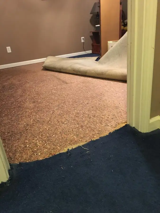 Carpet pad removal revealing water damage during Water Mitigation Services in South Milwaukee