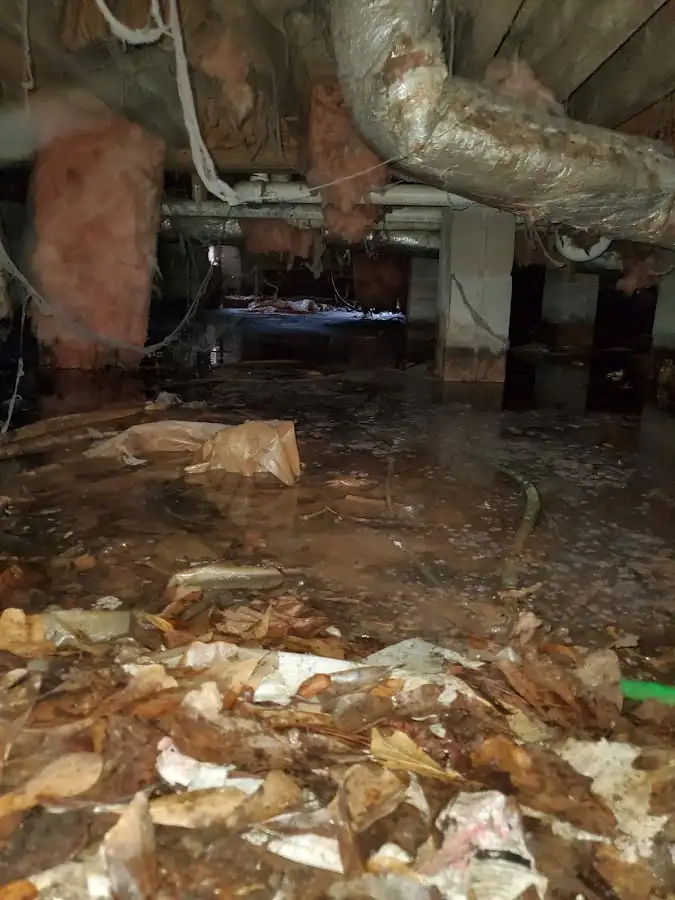Crawl space flood assessment for Leak Detection & Repair in South Milwaukee